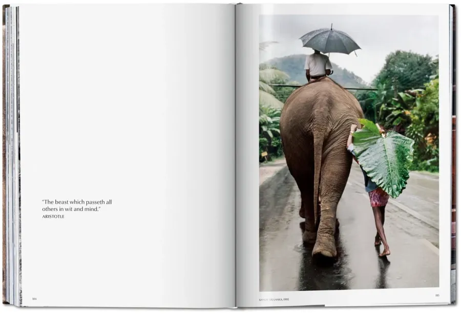 obrazek 5 Książka Steve McCurry. Zwierzęta - Taschen