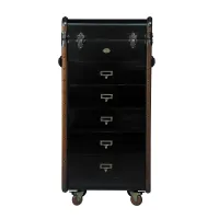 Picture Elegant Victorian chest of drawers - Authentic Models