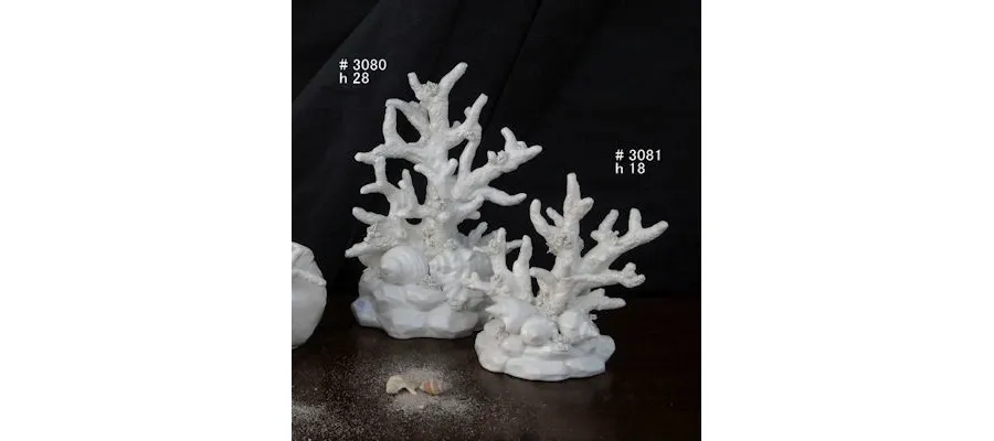 picture 1 Marine trees with shells