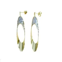 Picture Leaf-shaped hanging earrings, carved on the outside and shiny on the inside, finished with a monachin hook