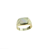 Picture Wonderful boxed men's shield ring