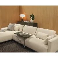 Picture Designer Sofa for a Minimalist, Modern Living Room - Casamania Horm