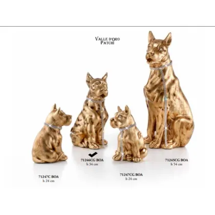 Picture Great Dane sitting medium with a leash - Valle d'oro Patchi