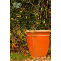 Picture Amazing small Kompazo flowerpot