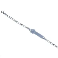 Picture A wonderful bracelet with a laser-engraved duck plate and an elongated chain