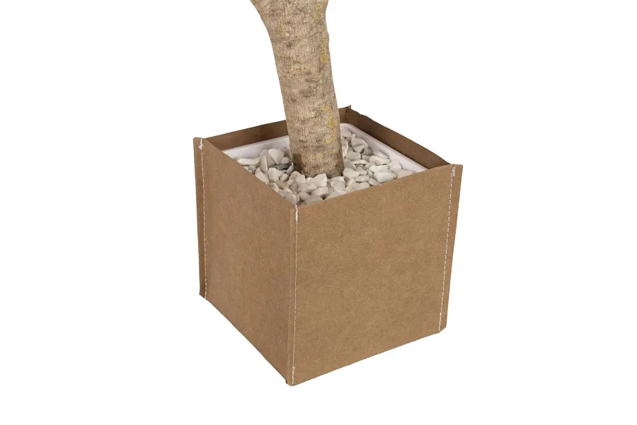 obrazek 11 Stabilizowane Bonsai z klonu japońskiego – stylowa dekoracja