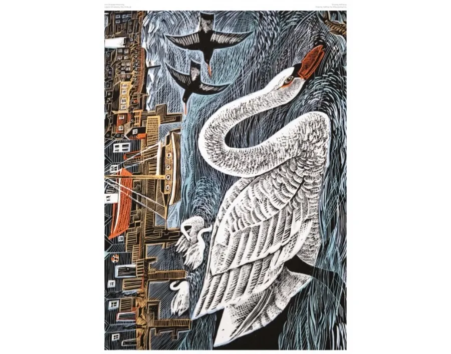 obrazek 2 Puzzle dla dorosłych dla dorosłych Angela Harding: Łabędź Południowy - Flame Tree Publishing