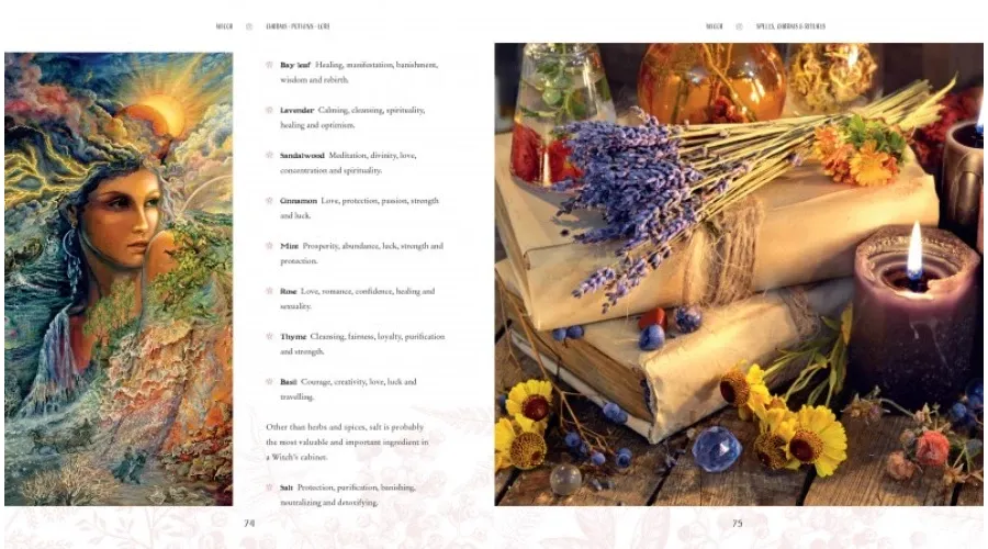 obrazek 5 Książka Wicca: Zaklęcia, Eliksiry i Wiedza - Flame Tree Publishing