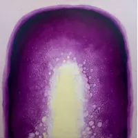 Picture ,,Purple Gates