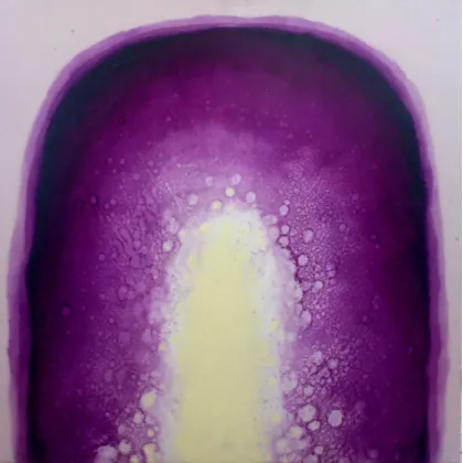 Picture ,,Purple Gates