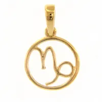 Picture Gold pendant with the zodiac sign of Capricorn