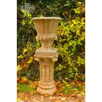 Zdjęcie Niesamowita donica choria