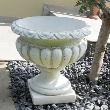 Zdjęcie Mały wazon Campanula do ogrodu – Italpark