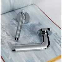 Picture Taipan door handle in brass with a round plate