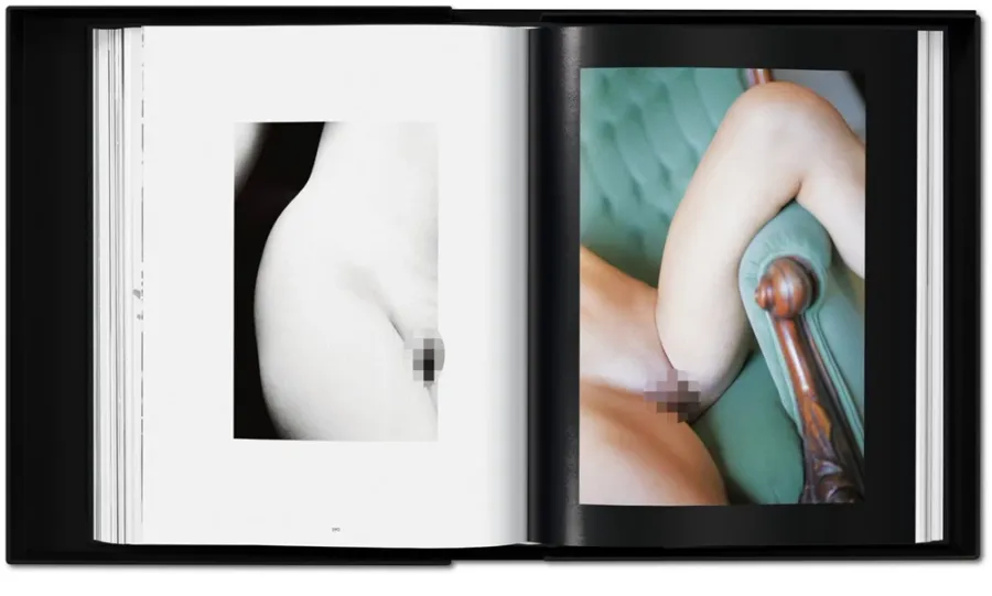 obrazek 11 Książka Ralph Gibson. Nude - Taschen