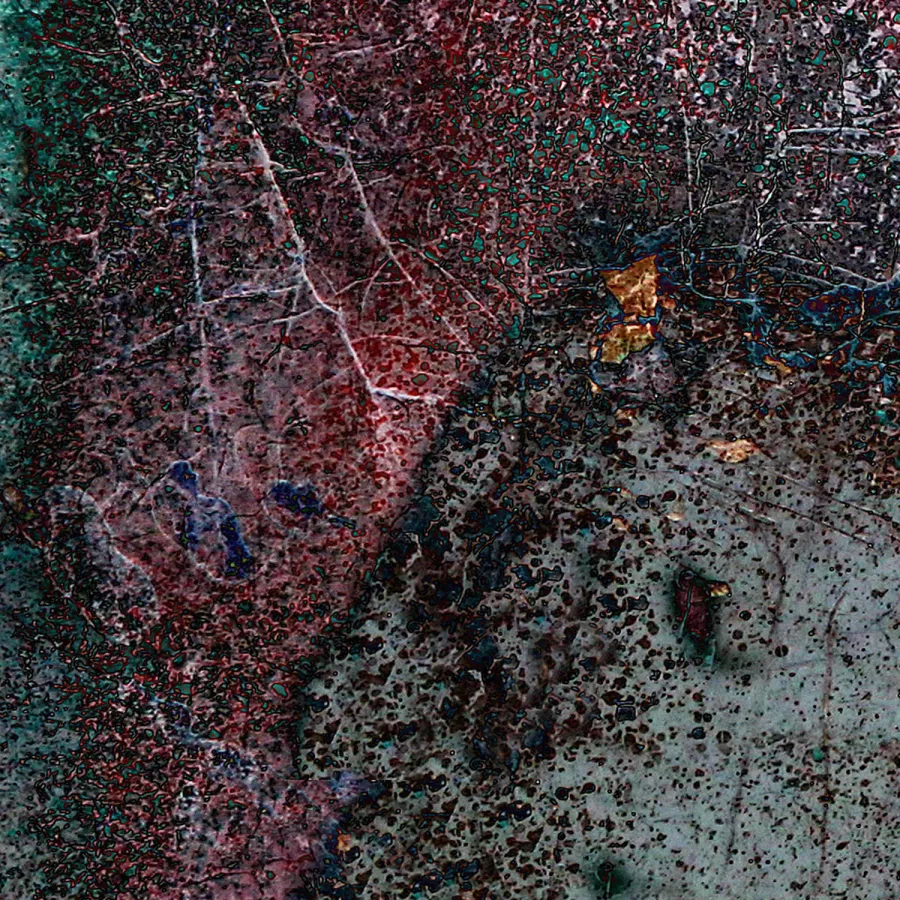 obrazek 2 Moja łąka, moja koza. - grafika 111,8 x 77,7 cm