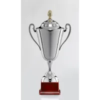 Picture A beautiful silver sports cup in many dimensions