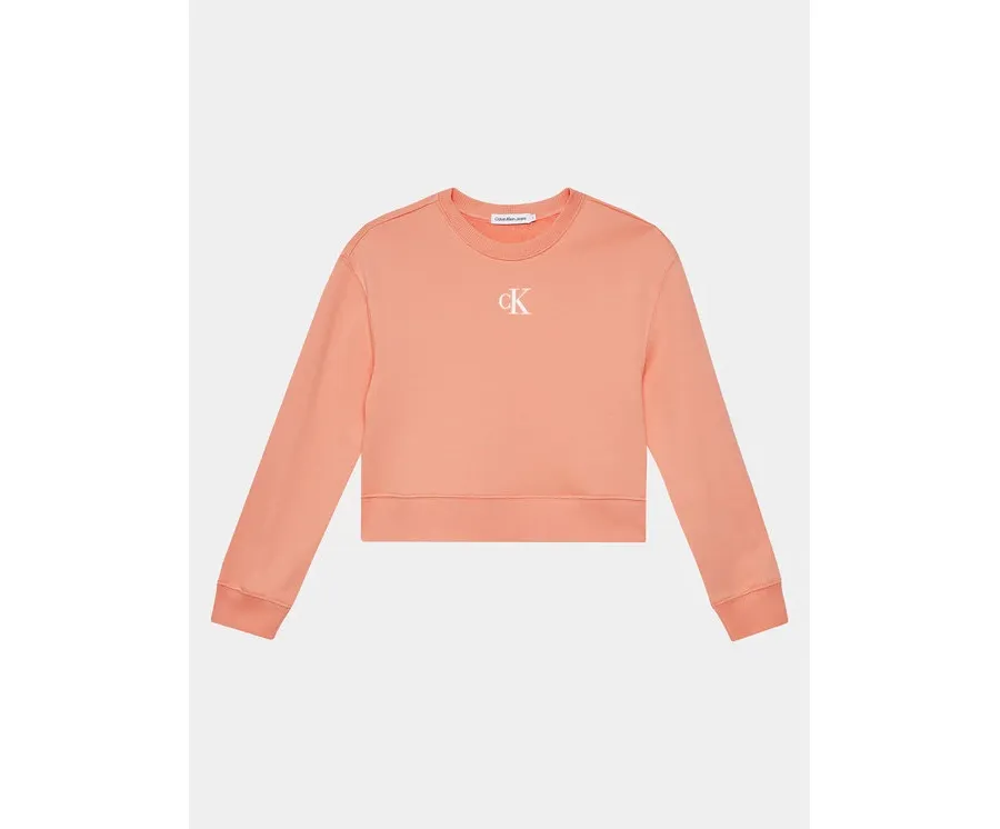 obrazek 1 Calvin Klein Jeans Bluza Logo IG0IG02423 Różowy Relaxed Fit