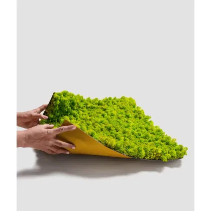 Zdjęcie 80x40 cm Chrobotek FLEXY, mech reniferowy islandzki (009 ciemna leśna zieleń)
