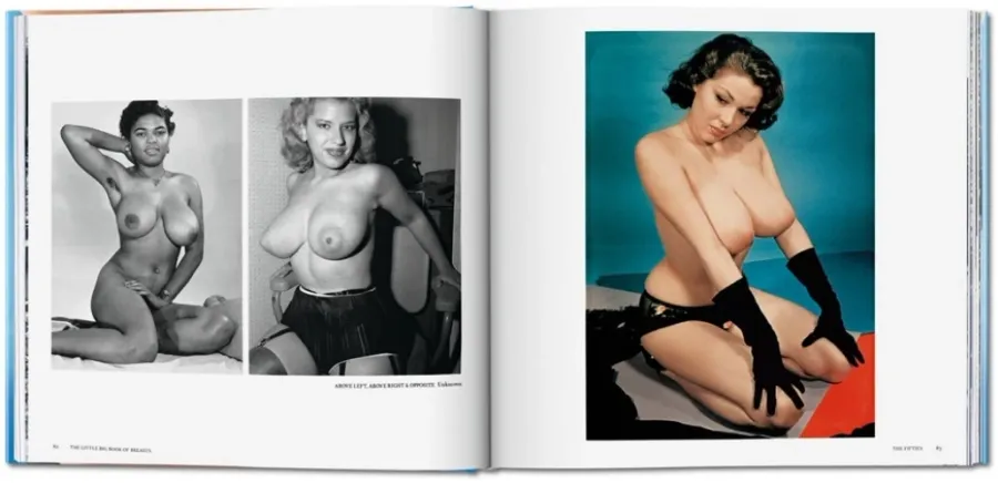 obrazek 5 Książka The Little Big Book of Breasts - Taschen