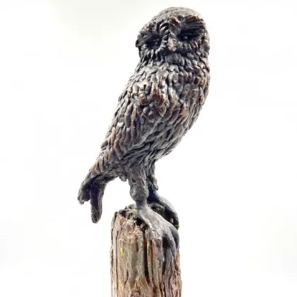 Zdjęcie Elegancka rzeźba z brązu małej sowy - na specjalną okazję