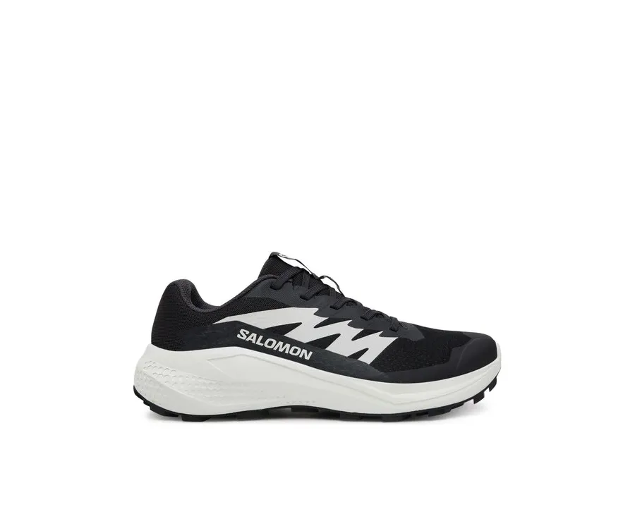 obrazek 1 Salomon Buty do biegania Alphaglide L47801500 Czarny