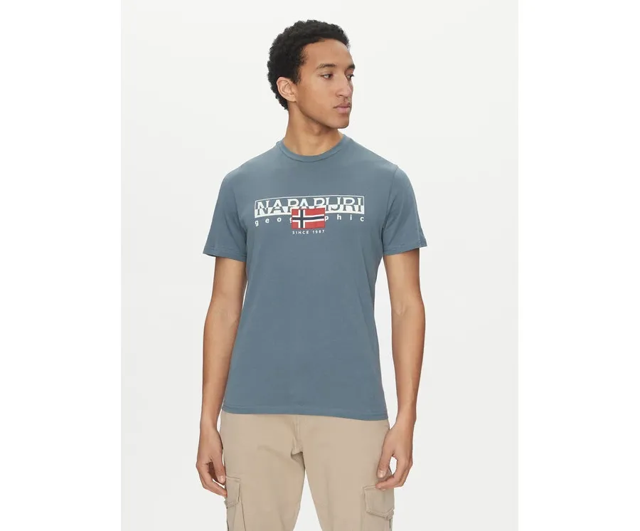 obrazek 1 Napapijri T-Shirt S-Aylmer NP0A4HTO Zielony Regular Fit