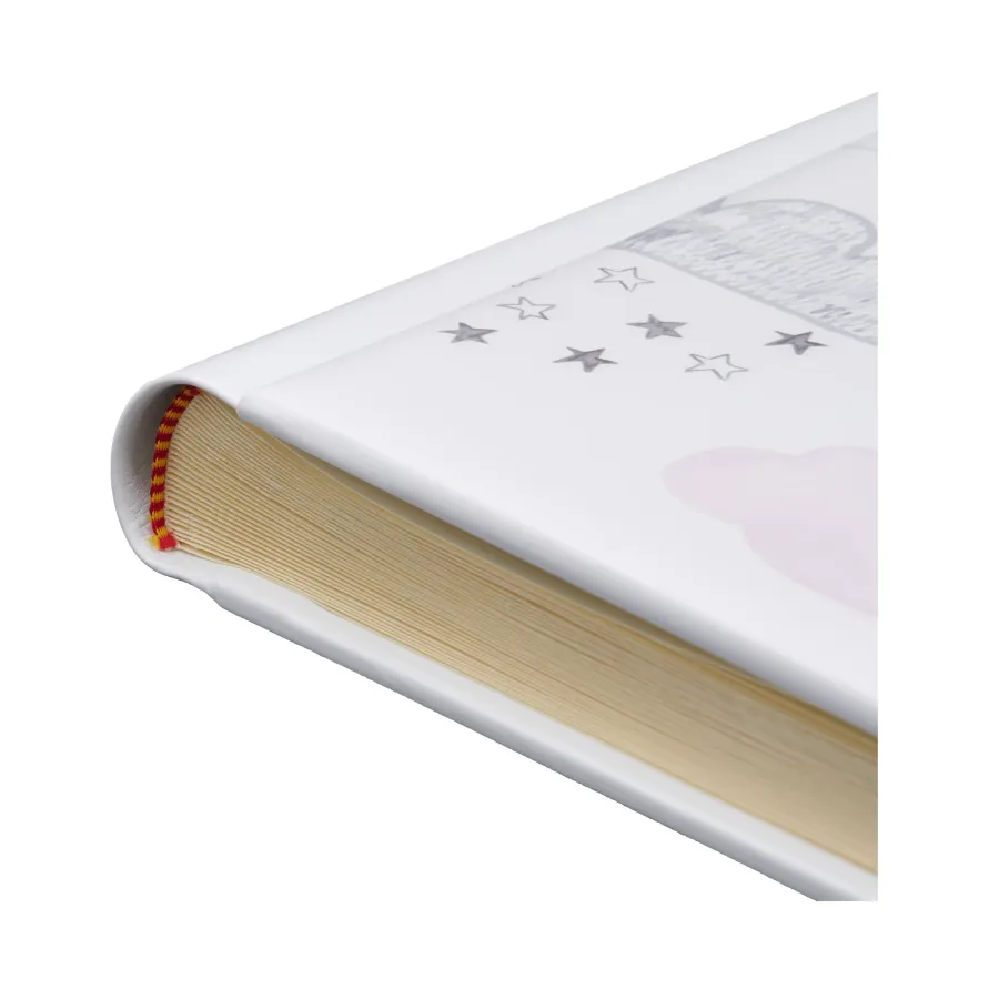 obrazek 4 Stylowy dziennik rozwoju dziecka zdobiony srebrnym misiem