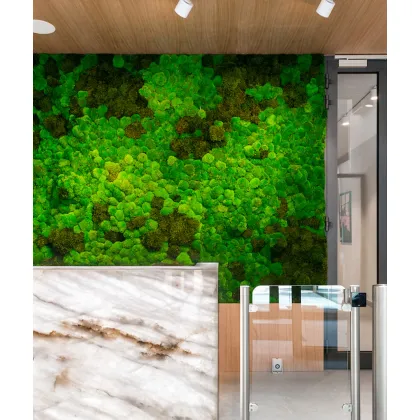 Zdjęcie 100x50 cm Mech - kompozycja MK6