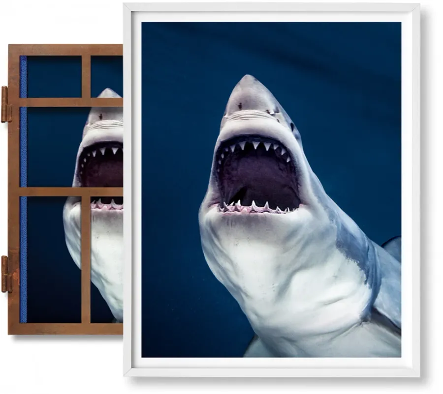 obrazek 1 Książka Michael Muller. Sharks, Art Edition No. 1–100 ‘Tear You Apart’ - Taschen