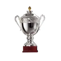 Zdjęcie Unikatowe trofeum sportowe ze srebra w wielu rozmiarach do wyboru