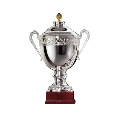 Zdjęcie Unikatowe trofeum sportowe ze srebra w wielu rozmiarach do wyboru
