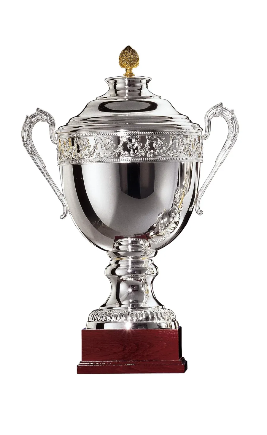 obrazek 1 Unikatowe trofeum sportowe ze srebra w wielu rozmiarach do wyboru