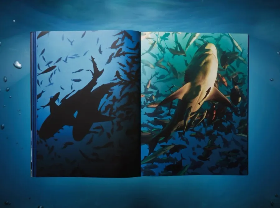 obrazek 12 Książka Michael Muller. Sharks, Art Edition No. 1–100 ‘Tear You Apart’ - Taschen