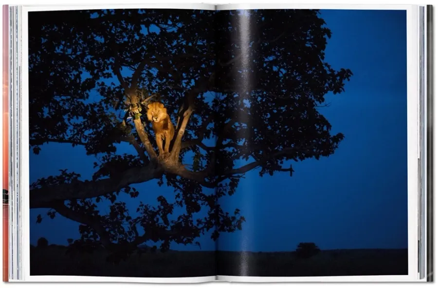obrazek 5 Książka National Geographic. Around the World in 125 Years. Africa - Taschen