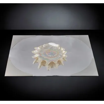 Zdjęcie Luksusowy mały talerzyk w kształcie perły marki VG