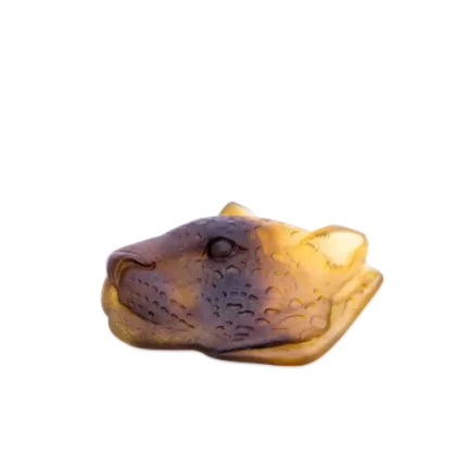 Zdjęcie Stylowa tacka na kieszonkowe drobiazgi zdobiona wizerunkiem leoparda - Daum