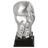 Zdjęcie Puchar na mecz bokserski - rękawica