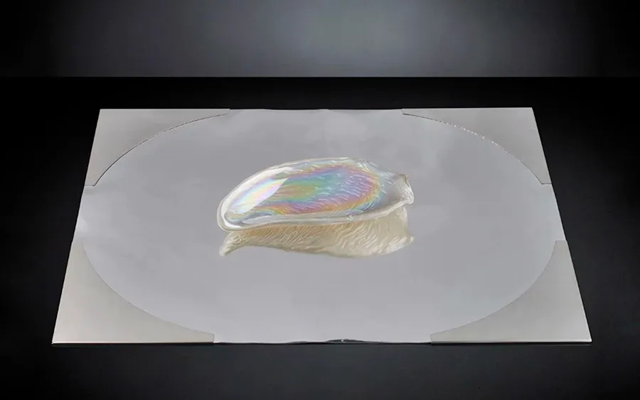 picture 1 Small serving plate by VG NewTrend project