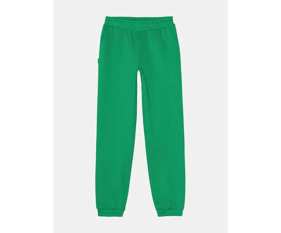 obrazek 1 4F Spodnie dresowe 4FJWAW24TTROF754 Zielony Regular Fit