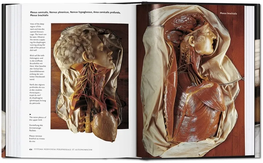 obrazek 8 Książka Encyclopaedia Anatomica - Taschen