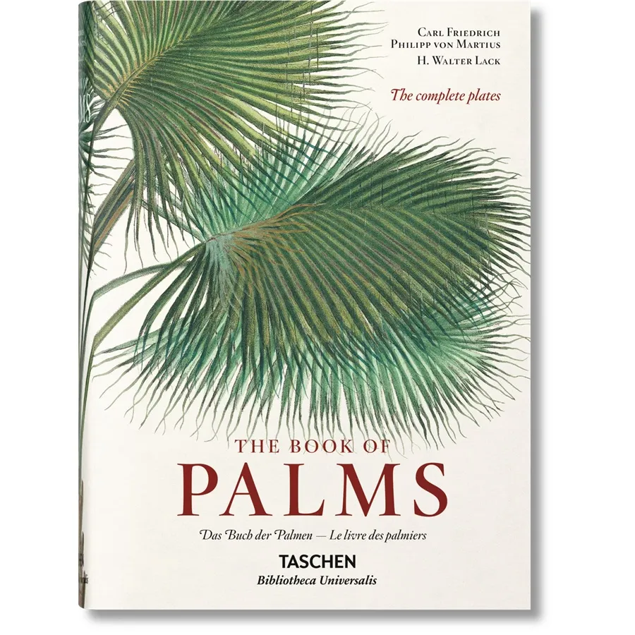 obrazek 1 Książka Martius. Księga Palm - Taschen