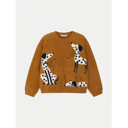 Zdjęcie Mayoral Sweter 4356 Brązowy Regular Fit