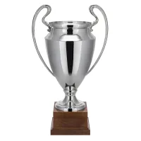 Picture A beautiful silver cup as a sports award