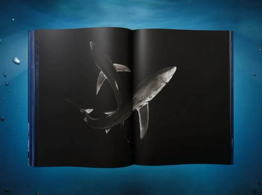 obrazek 12 Książka Michael Muller. Sharks - Taschen