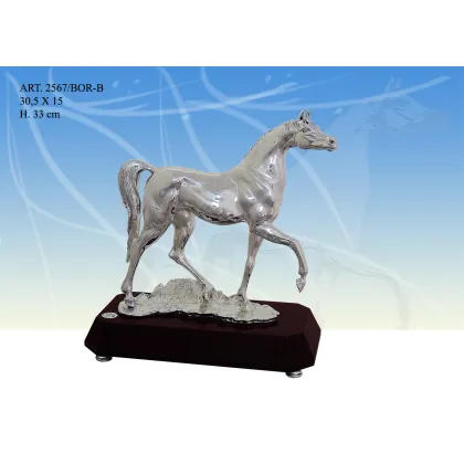 Zdjęcie Piękna włoska figura konia