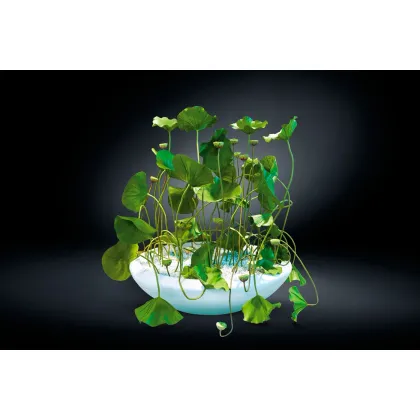 Picture A large modern decorative flower pot from the Italian brand VG