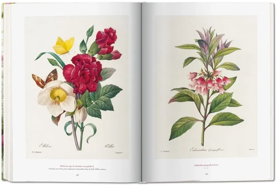 obrazek 8 Książka Redouté. The Book of Flowers - Taschen