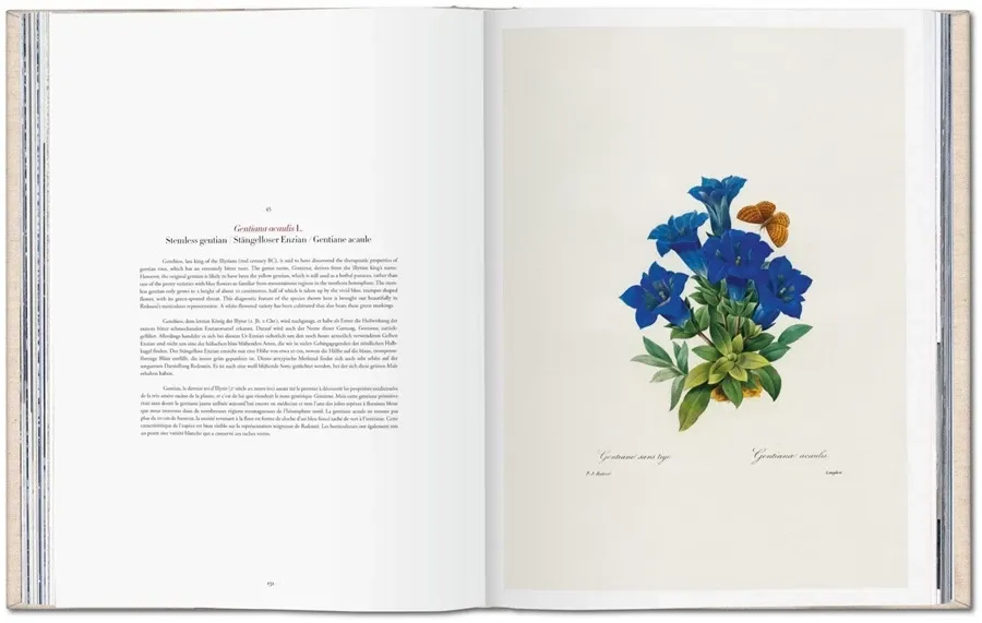 obrazek 5 Książka Redouté. Selection of the Most Beautiful Flowers - Taschen
