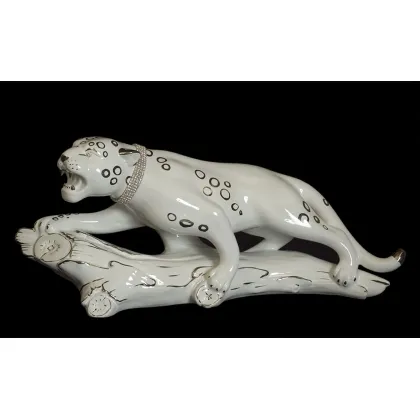 Picture A spectacular white leopard